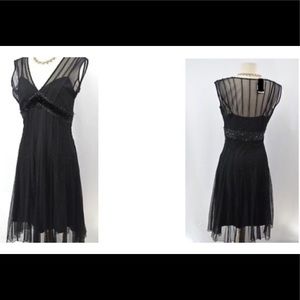 Ice Sheer Mesh Dress with Embroidery detail